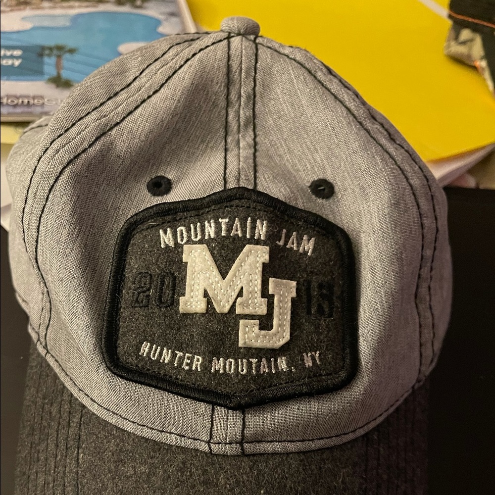 Mountain Jam Hunter Mountain NY 2015